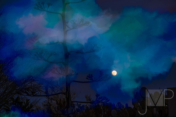 Blue Moon_Judith Monteferrante.jpg