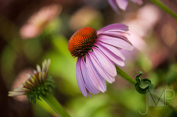 f/3.2