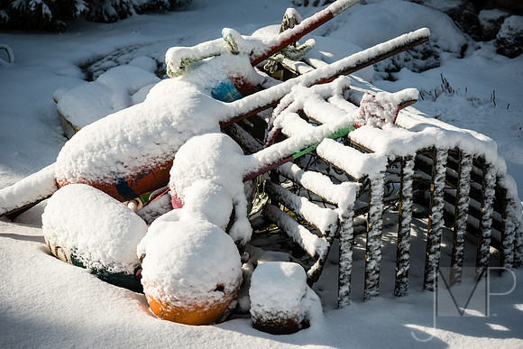 20121230_snow_056_edit_untitled_17
