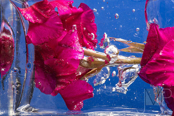 Water Shock 2