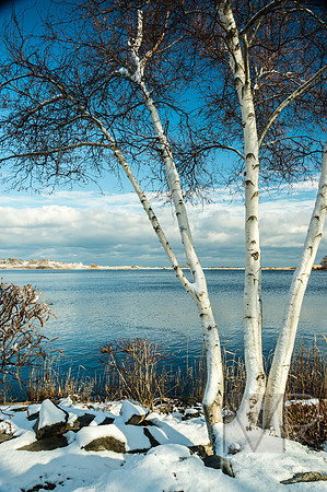 First Snow