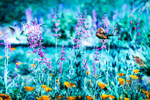 Bird Spirits