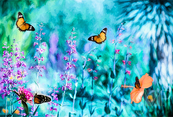 Butterfly Heaven