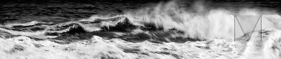 The wave