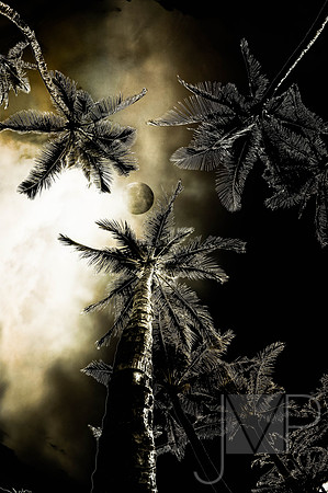 Full Moon Above