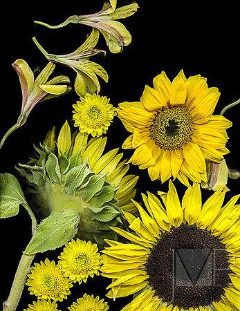 Yellow Floral Medley