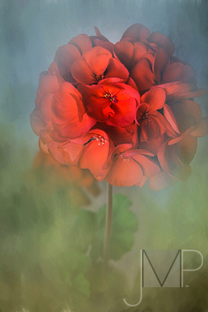 Scarlet