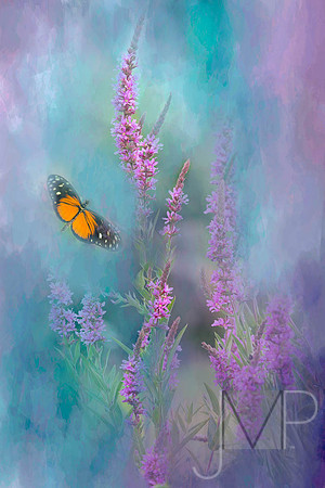 Butterfly in the Loosestrife