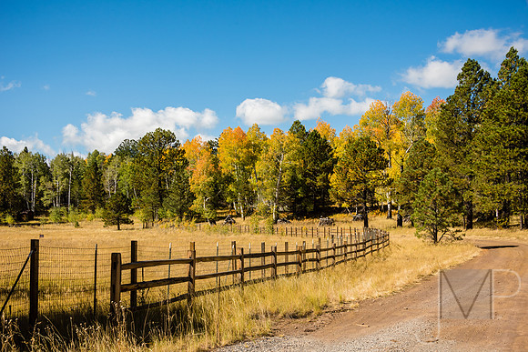 County Road 2