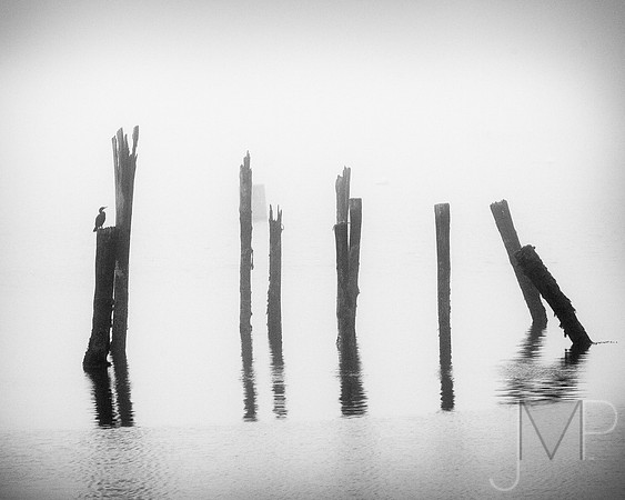 Zen Fog