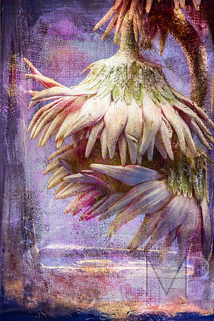 Beneath the Sea 4