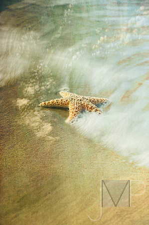 Starfish in the Surf