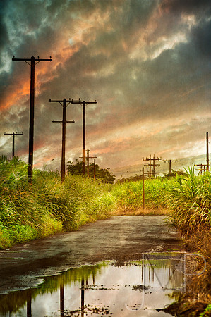 Walk after the Storm