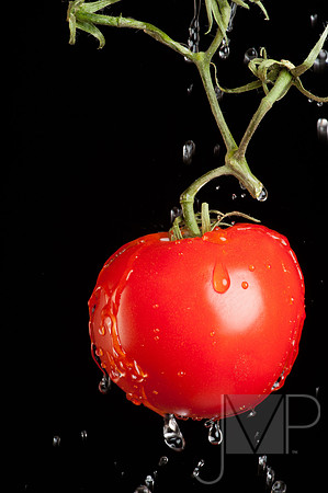 On the Vine
