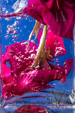 Water shock